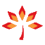 美国红枫_秋日梦幻_红点红枫_秋火焰_青岛红枫枫红园林